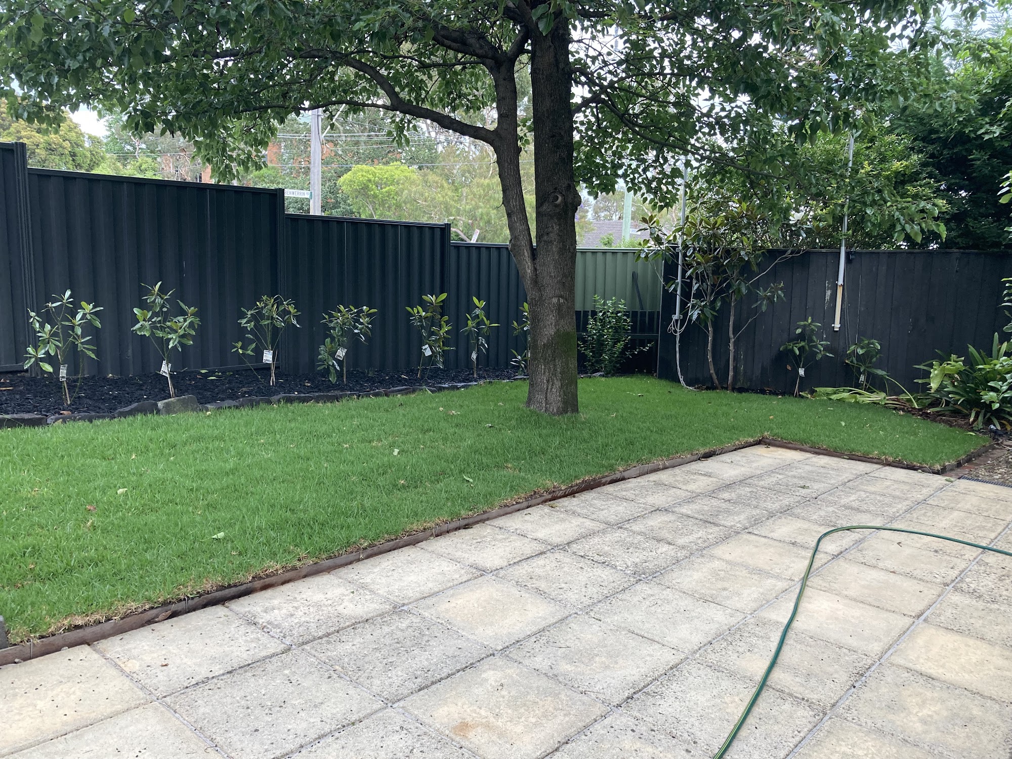 Jaffer at work in the garden