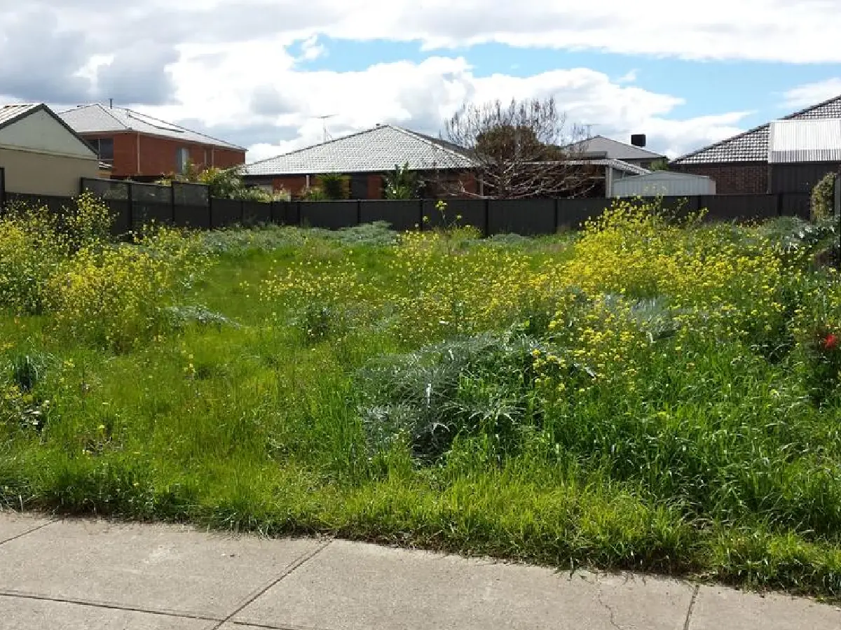 Council Notice Assistance